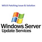 Windows_wsus_patching issue